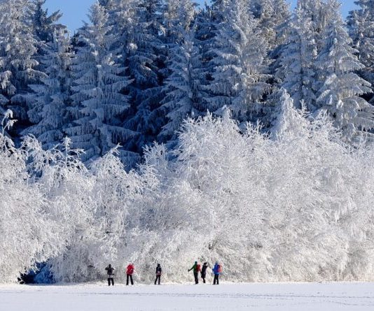 Susret u magli: Kako jedan neznanac može promeniti pogled na život
