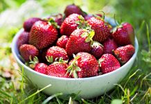 Ko ne bi smeo da jede jagode? Ljudi sa ovim zdravstvenim problemom treba da ih zaobilaze