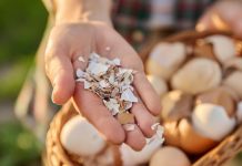 Ljuske od jaja ne bacajte: Pomiješajte ih sa sirćetom i napravite korisnu smjesu za dom