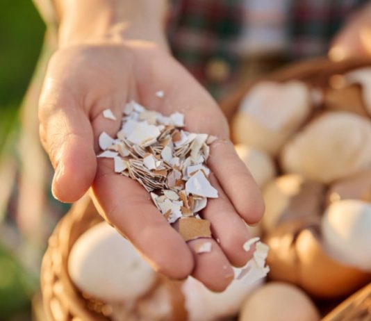 Ljuske od jaja ne bacajte: Pomiješajte ih sa sirćetom i napravite korisnu smjesu za dom