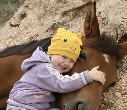 Moja ćerka je volela da se igra sa komšijinim konjem i jednog dana to je dovelo do neočekivanog otkrića.