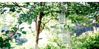 NIJEDAN INSEKT NEĆE PRIĆI BLIZU VAŠOJ KUĆI: Samo okačite teglu s ovim unutra! (RECEPTI) NIJEDAN INSEKT NEĆE PRIĆI BLIZU VAŠOJ KUĆI: Samo okačite teglu s ovim unutra! (RECEPTI) - featured image