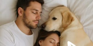 Pas koji nikada nije ušao u spavaću sobu probudio nas je noć — i odmah smo shvatili zašto.