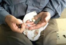 Ako ne želite dugove i nesreću ove stvari odmah izbacite iz kuće: Jedna je posebno opasna