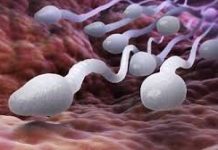 Pet stvari ukazuje da je muškarac neplodan – evo koje