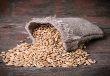 Ova zaboravljena žitarica prepuna je kolagena i stručnjaci kažu da usporava starenje tijela iznutra