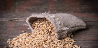 Ova zaboravljena žitarica prepuna je kolagena i stručnjaci kažu da usporava starenje tijela iznutra