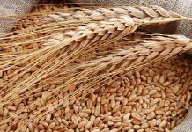 Svi misle da su zdrave, a zbog njih se gojite! Doktor tvrdi da ove 2 namirnice treba oprezno jesti