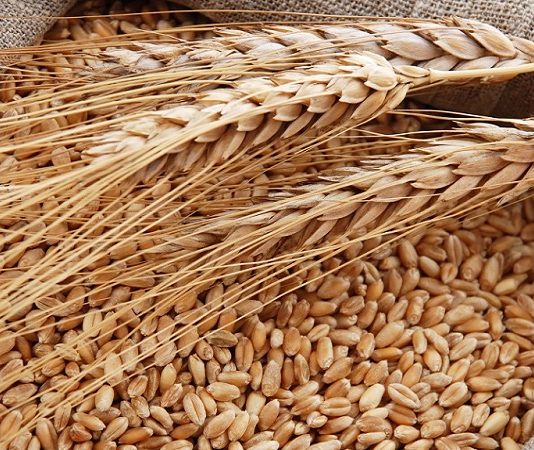 Svi misle da su zdrave, a zbog njih se gojite! Doktor tvrdi da ove 2 namirnice treba oprezno jesti