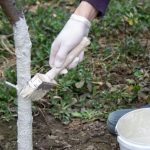 Da li je zaista potrebno KREČITI VOĆKE u proleće: Evo šta kažu stručnjaci – kada pomaže, a kada je već kasno