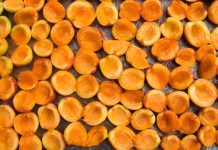 Goca Tržan se prepolovila, spala ispod 50 kg, mršavija nego na početku karijere: A kaže da je samo 1 stvar promenila! Goca Tržan se prepolovila, spala ispod 50 kg, mršavija nego na početku karijere: A kaže da je samo 1 stvar promenila! - featured image