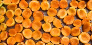 Goca Tržan se prepolovila, spala ispod 50 kg, mršavija nego na početku karijere: A kaže da je samo 1 stvar promenila! Goca Tržan se prepolovila, spala ispod 50 kg, mršavija nego na početku karijere: A kaže da je samo 1 stvar promenila! - featured image