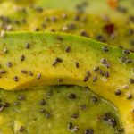 OVE NAMIRNICE UNIŠTAVAJU DEBELO CRIJEVO I CRIJEVNU SLUZNICU: Svi ih TAMANE SVAKODNEVNO, a nemaju pojma koliko su LOŠE - featured image