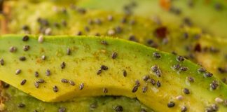 OVE NAMIRNICE UNIŠTAVAJU DEBELO CRIJEVO I CRIJEVNU SLUZNICU: Svi ih TAMANE SVAKODNEVNO, a nemaju pojma koliko su LOŠE OVE NAMIRNICE UNIŠTAVAJU DEBELO CRIJEVO I CRIJEVNU SLUZNICU: Svi ih TAMANE SVAKODNEVNO, a nemaju pojma koliko su LOŠE - featured image