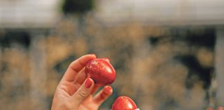 Ovo cveće obavezno treba uneti u kuću pre Vaskrsa: Veruje se da donosi sreću i napredak