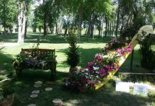 Već od danas stavite staru školu u baštu i vrt, napravićete ogromnu promenu