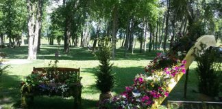 Već od danas stavite staru školu u baštu i vrt, napravićete ogromnu promenu