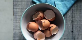 Ne Bacajte Ljuske od Jaja! Obesite ih u Bašti – Razlog će vas iznenaditi!
