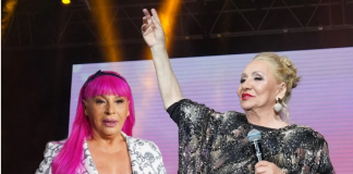 ŠTA SE SAD DEŠAVA SA ZORICOM BRUNCLIK? Vesna Zmijanac šokirala javnost!KOSA JOJ OTPALA…
