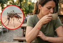 Kako ublažiti svrab od ujeda komarca? Nemojte da češete, ne treba ni krema samo jedna stvar