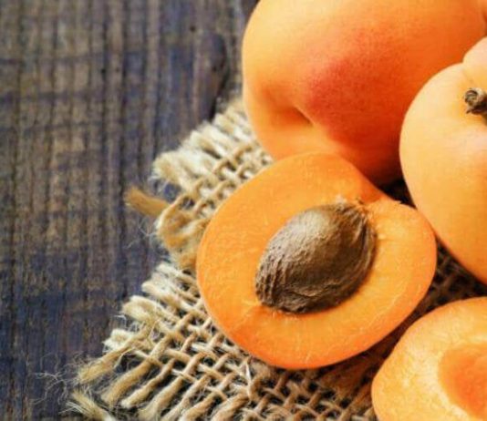 EVO ZAŠTO SE SEME KAJSIJE SMATRA NAJMOĆNIJIM LEKOM IZ PRIRODE: Obavezan deo ishrane!